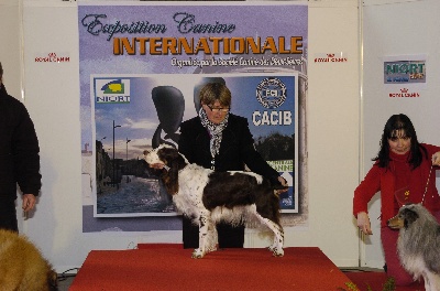 De la prieutiere - Exposition internationale NIORT 2012